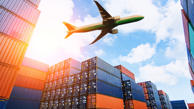 import export recruitment agency